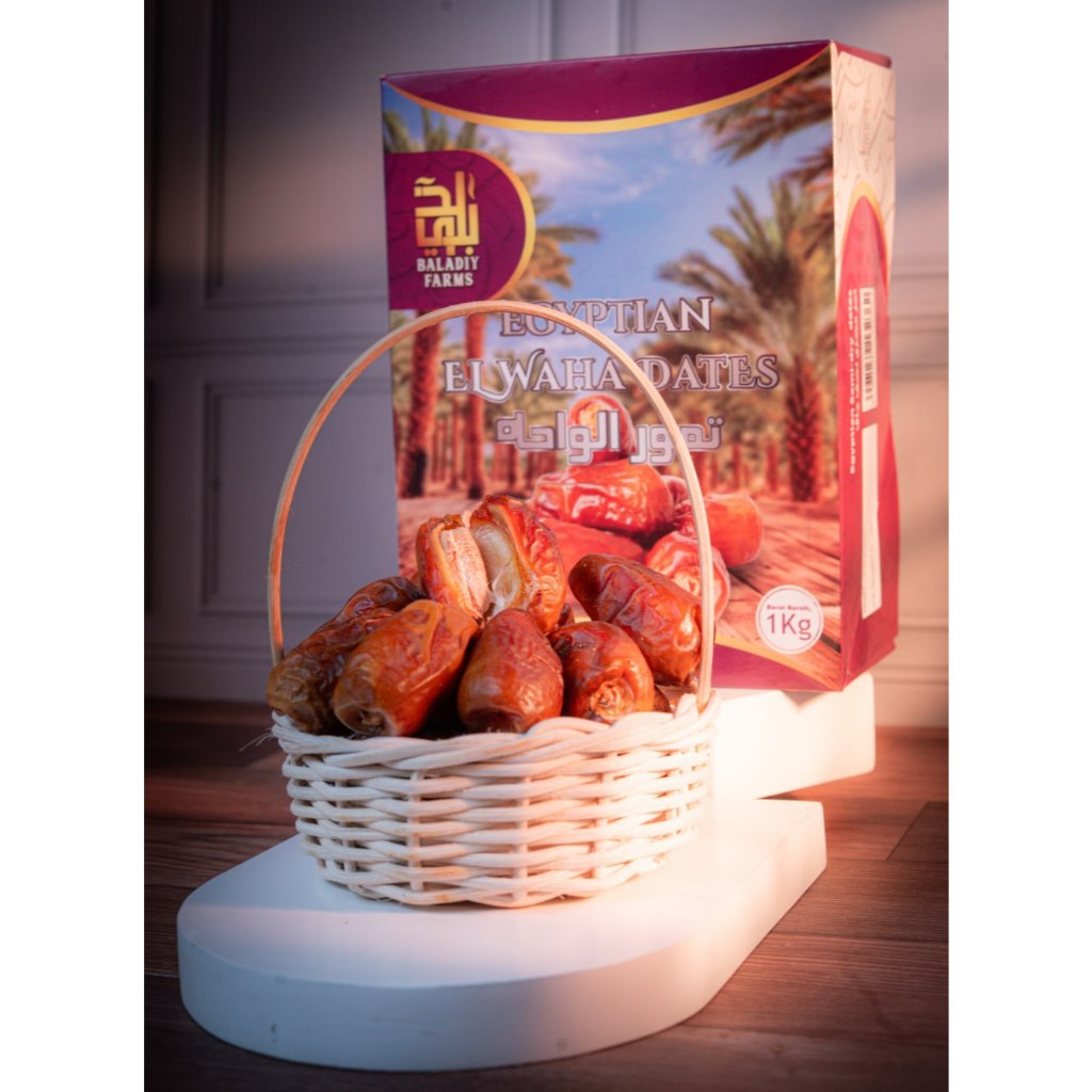 

Kurma Mesir Elwaha Premium 1KG Kualitas Terbaik