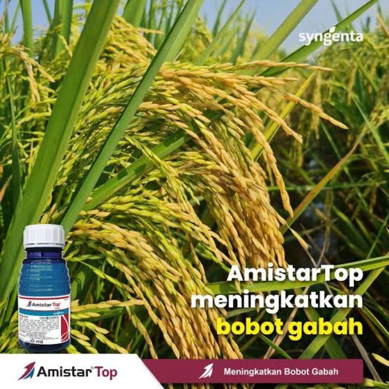 fungisida amistartop 250 ml