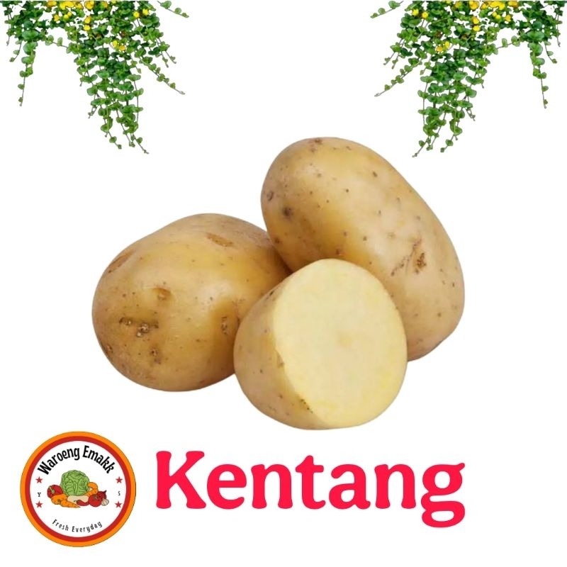 

KENTANG