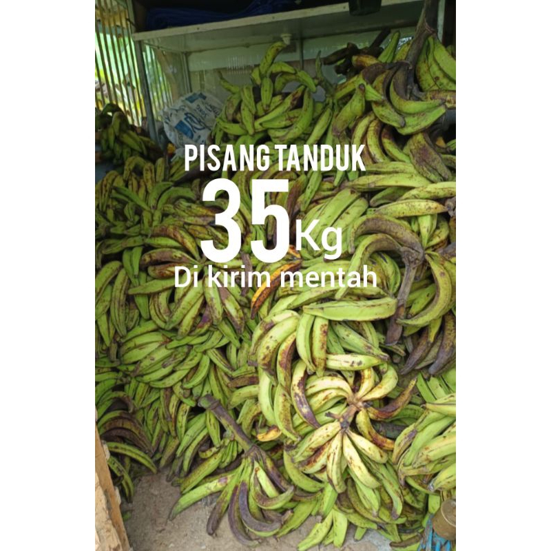 

PISANG TANDUK MADU SUPER 35kg