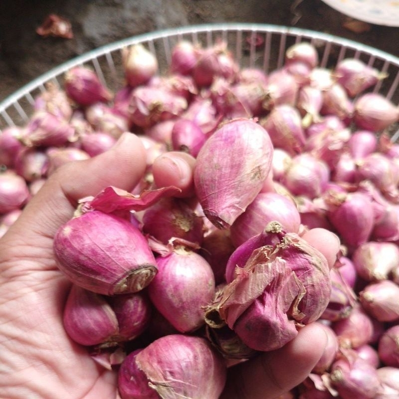 

bawang merah Nganjuk tanggung 500g