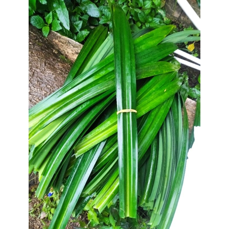 

Pandan