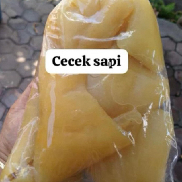 

cecek sapi 1kg murah