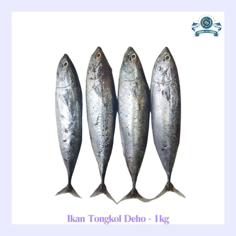 

Frozen ikan tongkol deho 1kg (3 - 4 pcs per pack)