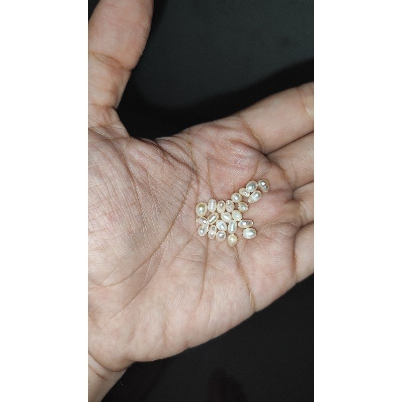 butir mutiara asli kecil sudah ada lubang buat kalung