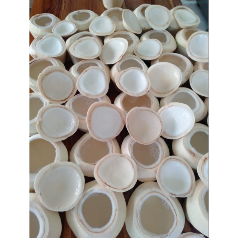 

Kelapa Degan Jelly Kelapa Muda Jeli