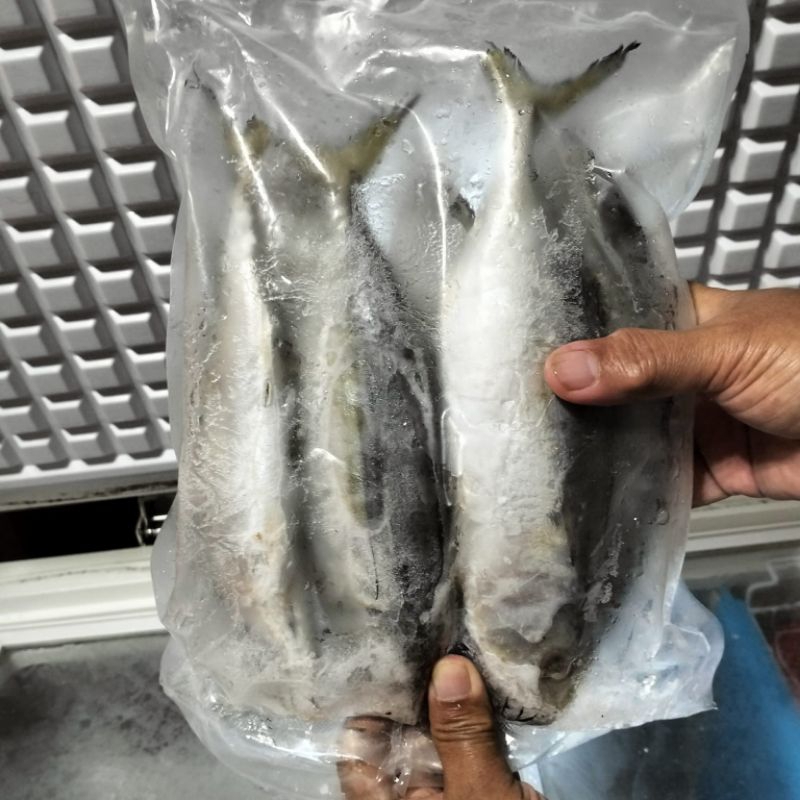 

Ikan kembung 1kg