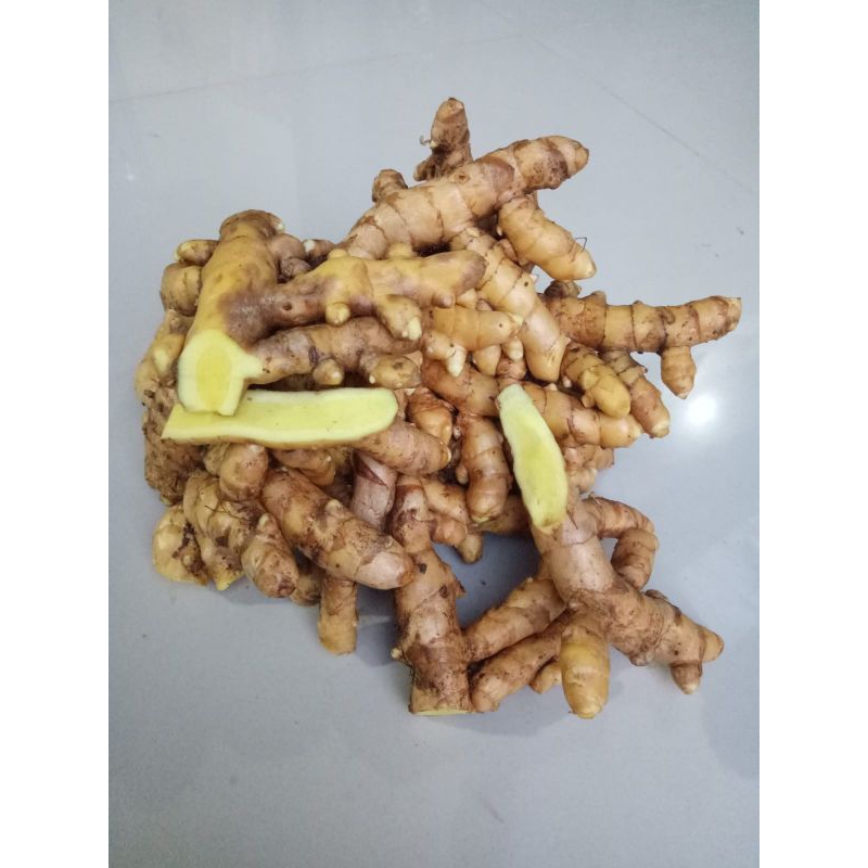 

1kg Temu mangga segar temu poh Curcuma mangga