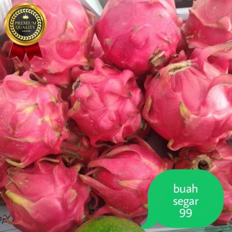 

buah naga merah 1kg manis