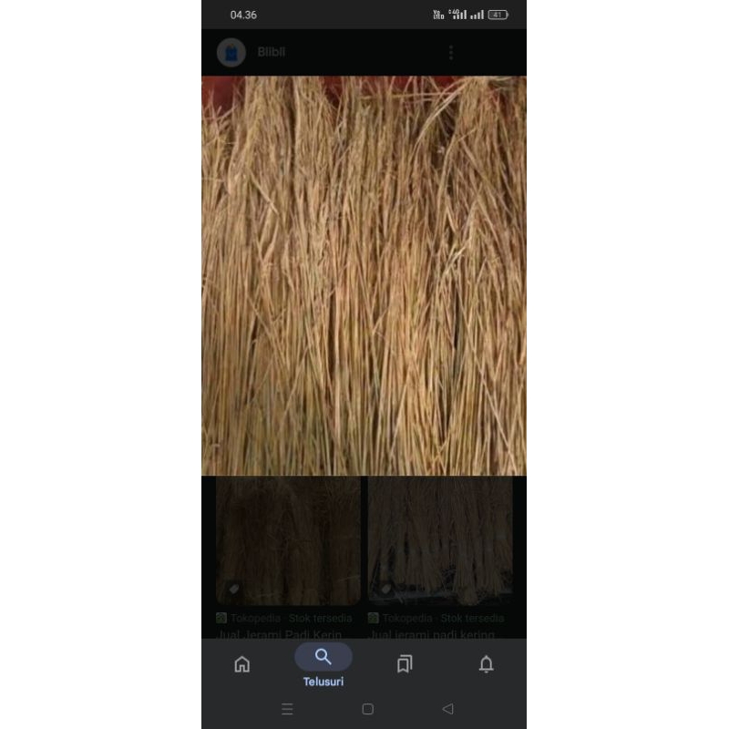 1kg jerami kering utuh