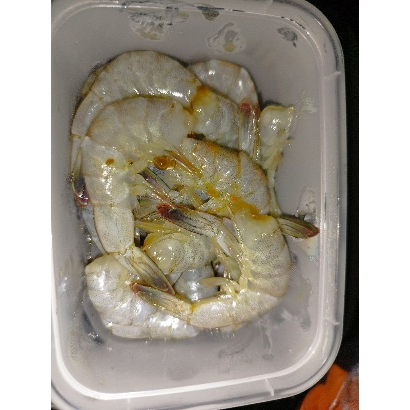 

Udang Mentah frezer