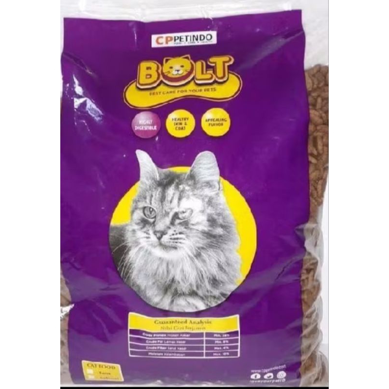 pakan kucing,pakan anabul