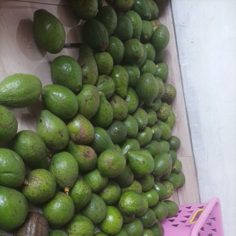 

Paket hemat 5 kg alpukat mentega