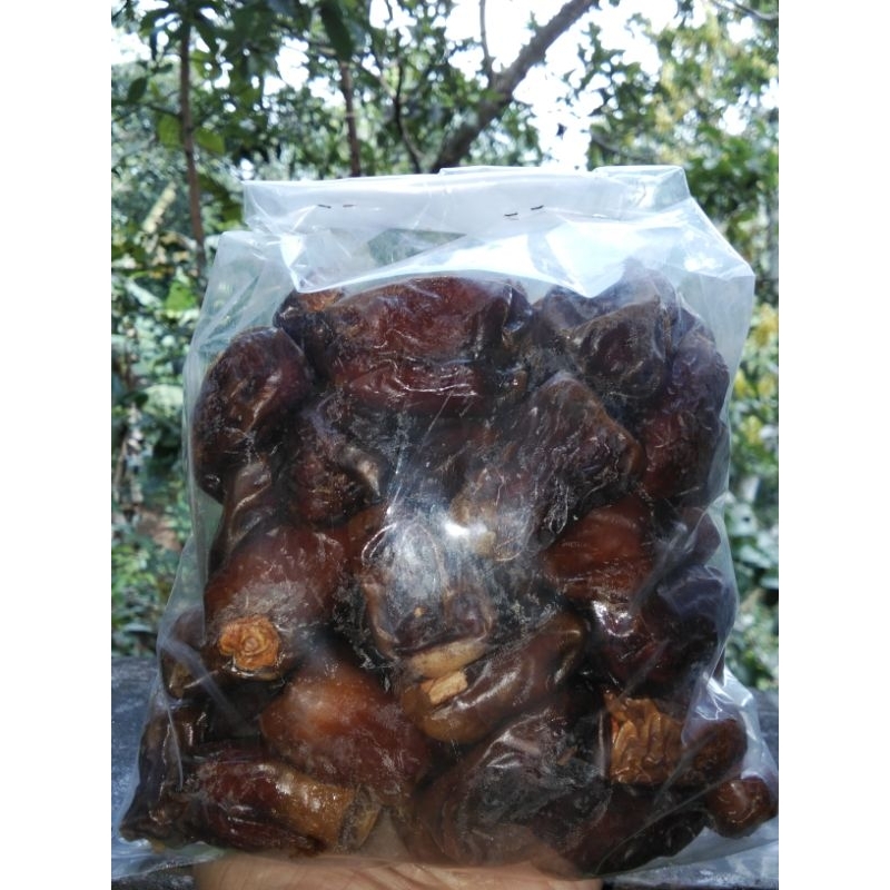 

kurma golden valerry