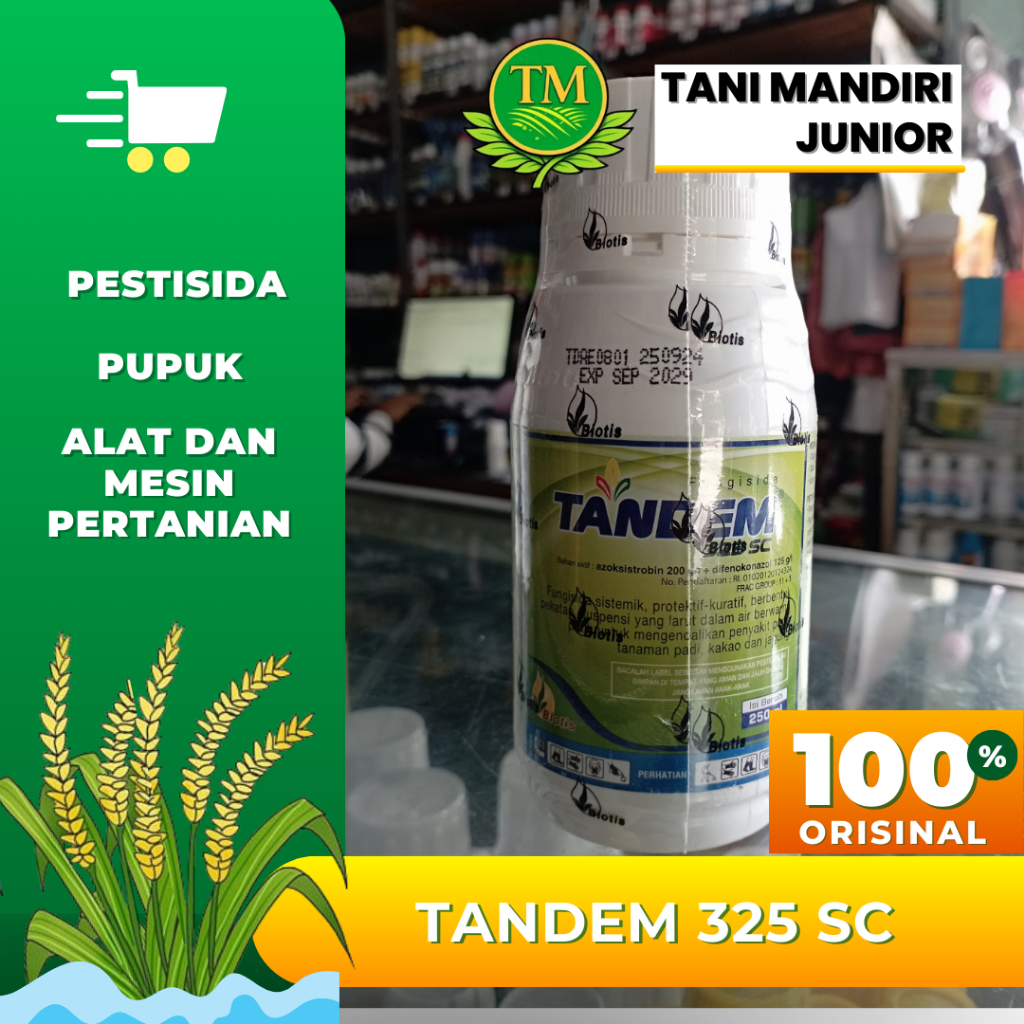 TANDEM  325 SC (Fungisida Sistemik, bahan aktif : azoksistrobin 200 g/l + difenokonazol 125 g/l)