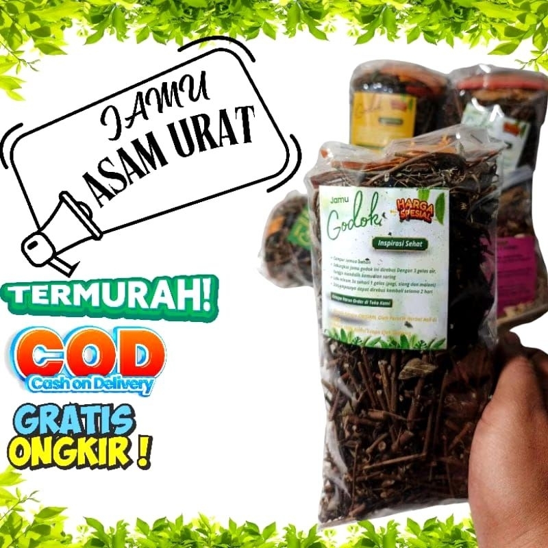 

jamu asam urat