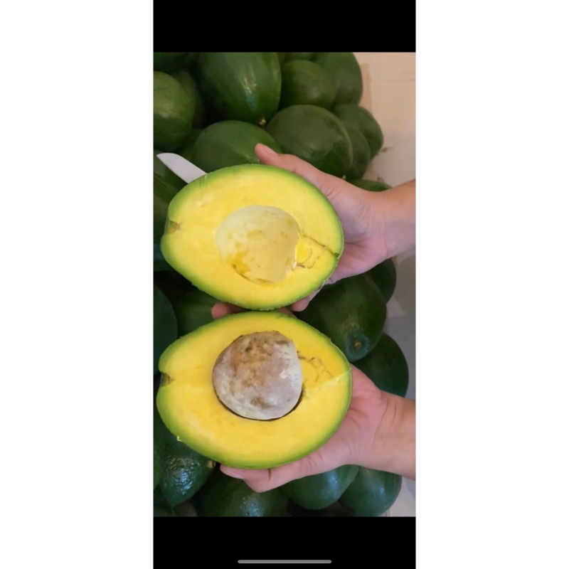 

Alpukat Miki (Premium) 1 kg 2-3