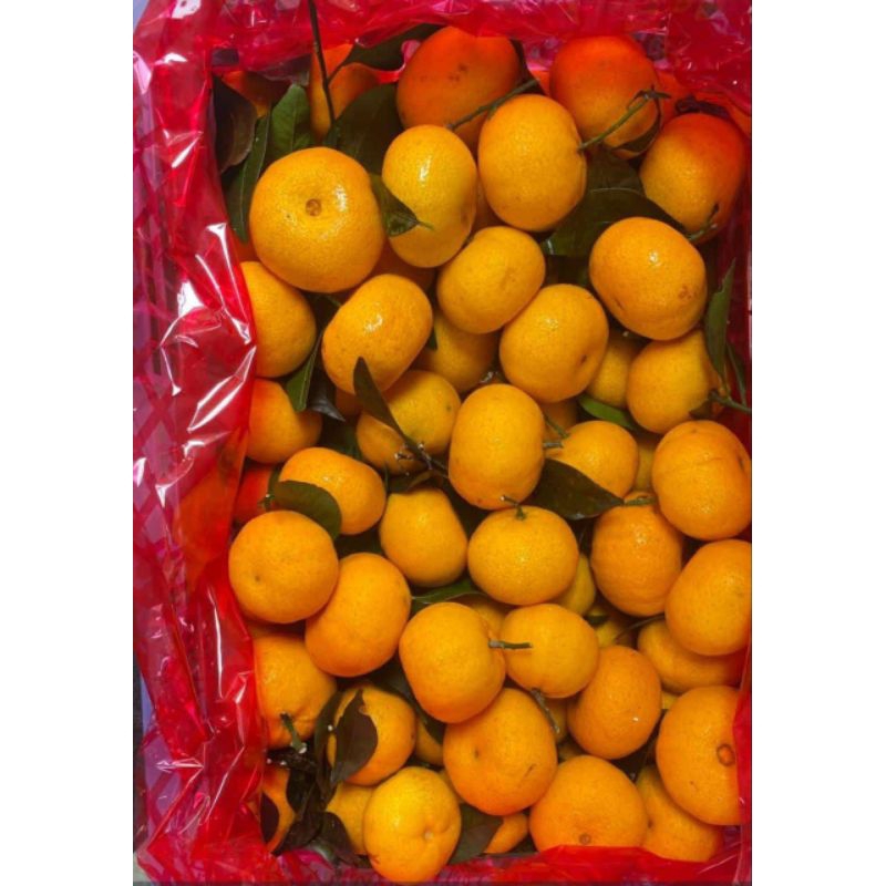 

Buah Jeruk Santang Daun 1 Kg