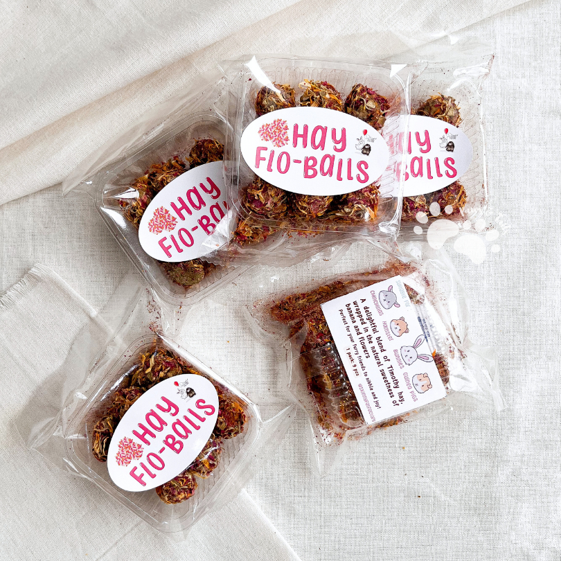 Hay Flo Ball Timothy Hay Snack by Skinny Fat Factory - Snack Kelinci Guinea Pig Hamster Chincilla