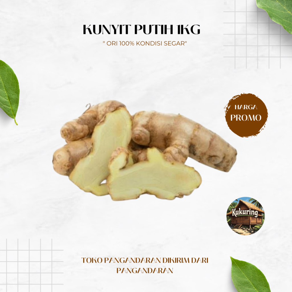 

KUKURING Kunyit Putih Segar 1kg Kunir putih Asli Untuk Kangker