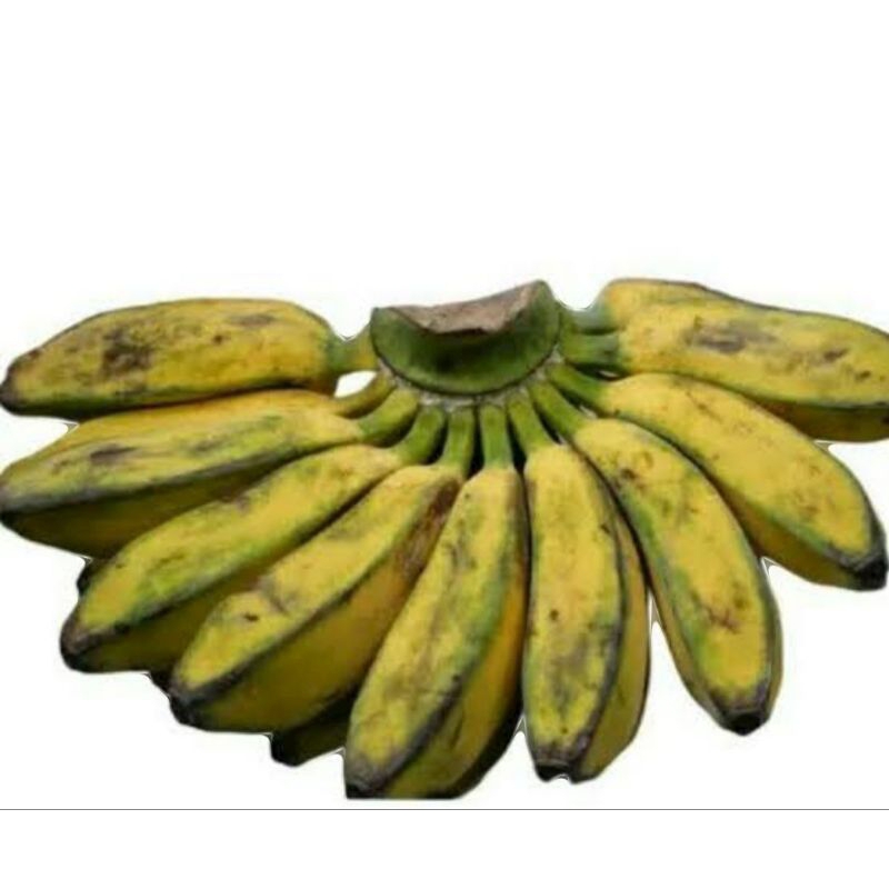 

PISANG KEPOK MERAH 1kg