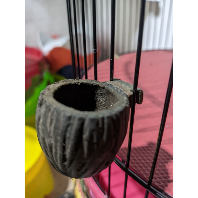 Cepuk tempat pakan burung pleci konin bermotif