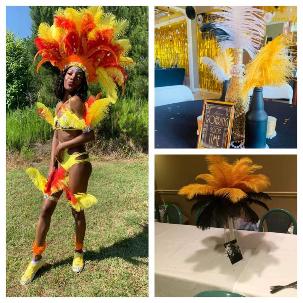 INDH Bulu Ostrich 5pcs Replika Bulu Dekorasi Bulu Kemucing Hiasan Kepala Karnaval Ostrich Feather