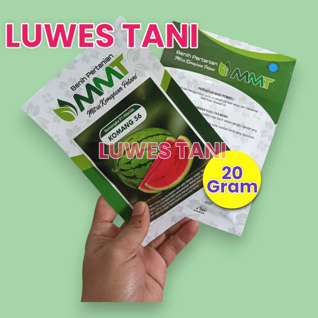 Benih semangka Komang 56 20 gram merah hibrida f1