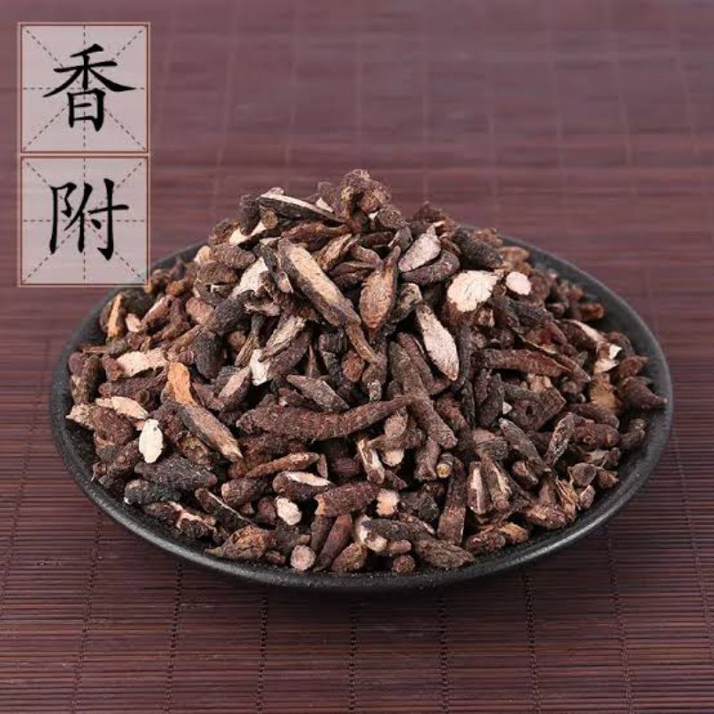 

Xiang Fu (Iris)/ 香附 (Iris)
