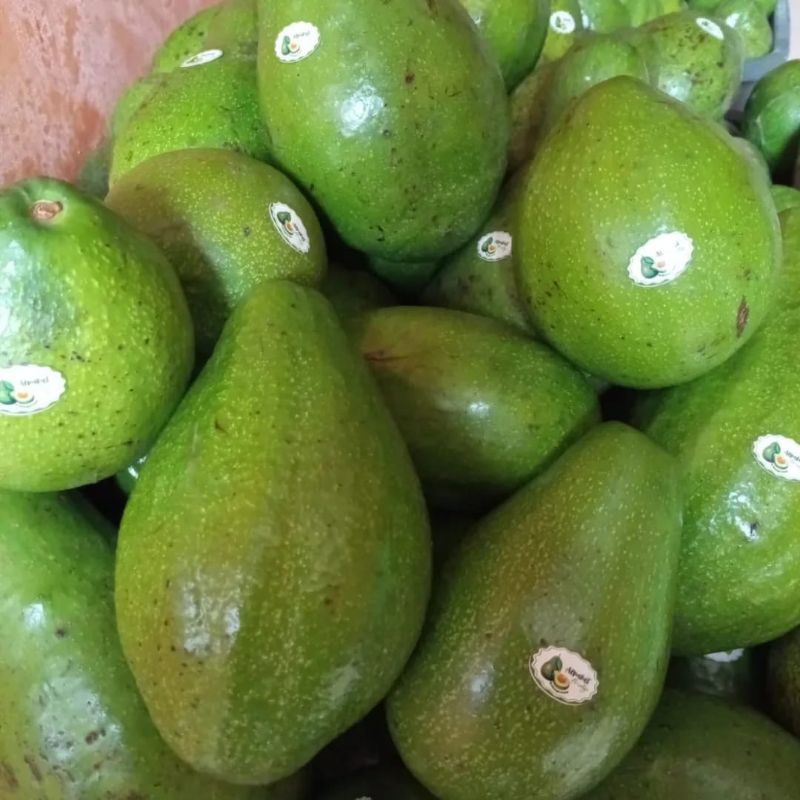 

Alpukat Mentega Boyolali 2kg