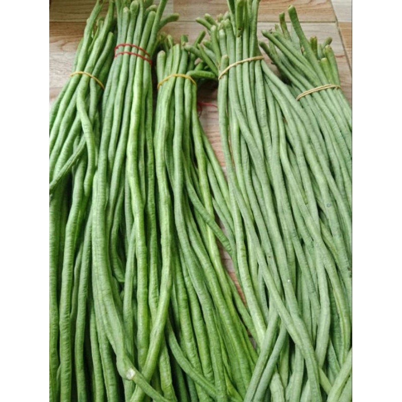 

Kacang panjang segar