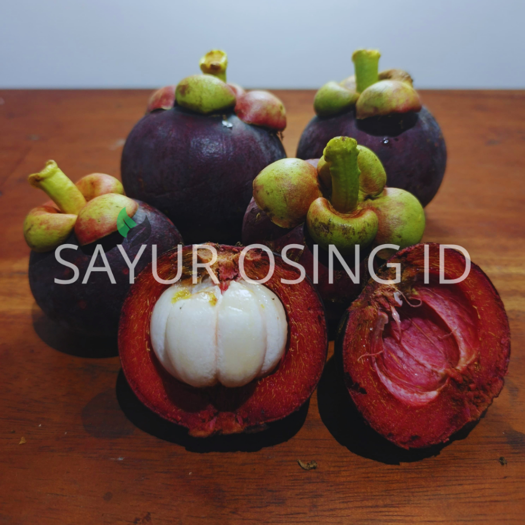 

BUAH MANGGIS MANIS ASLI SONGGON