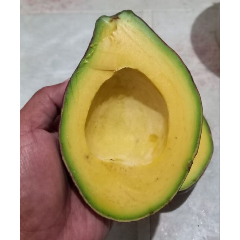 

Alpukat mentega