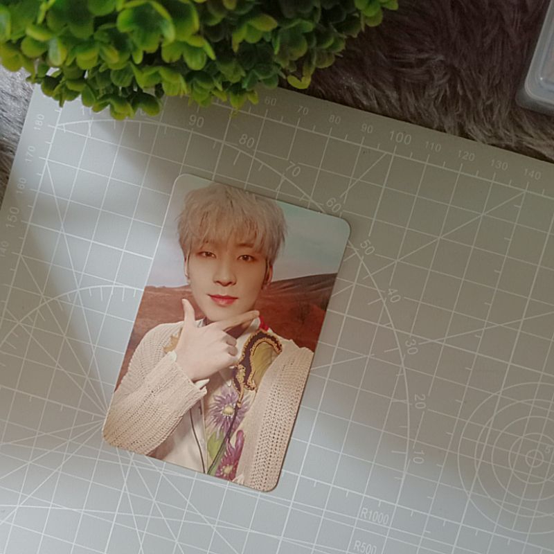 PHOTOCARD OFFICIAL WONWOO SEVENTEEN FACE THE SUN