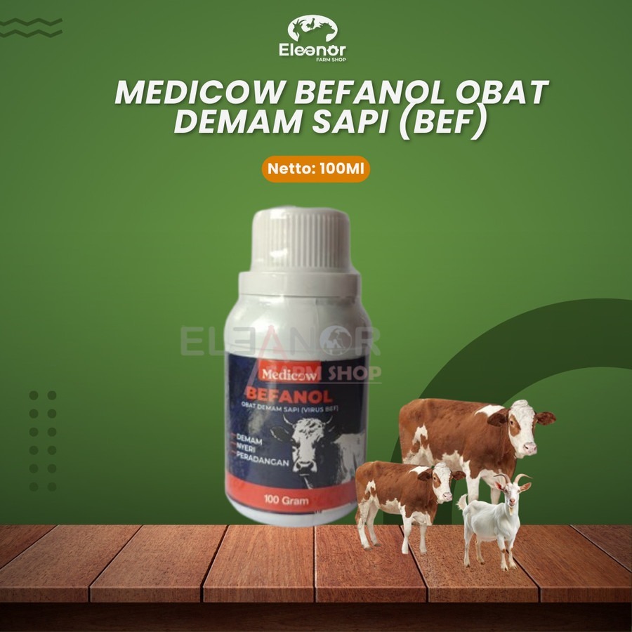 Medicow Befanol Obat Demam Sakit Flu Sapi Kerbau Ternak 100Gr Obat Sapi Sakit Obat Sakit Sapi