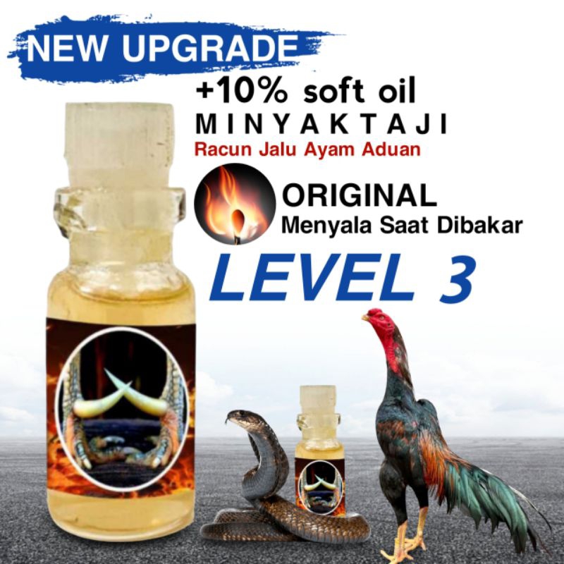 jamu ayam pakhoy ORI level 3 minyak Taji
