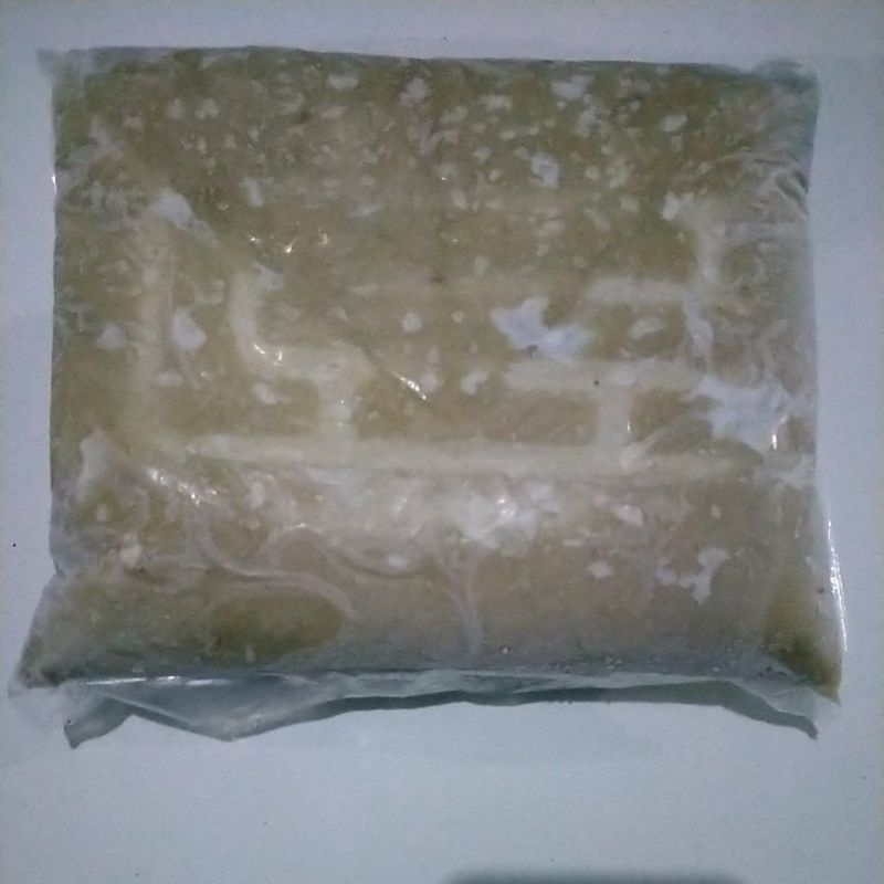 

Ikan Tenggiri