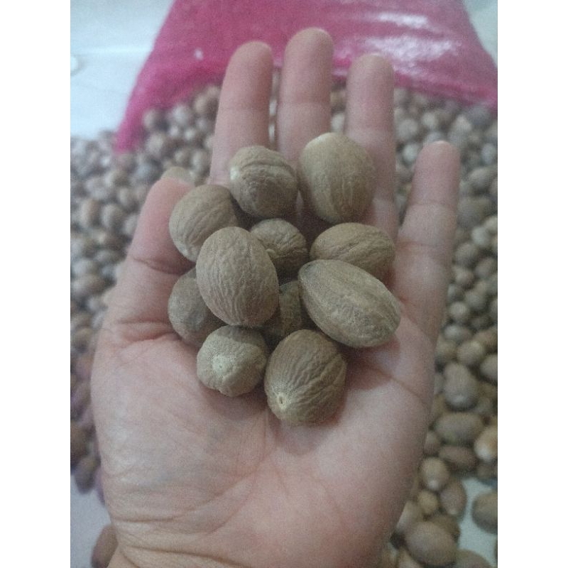 

NUTMEG / PALA GRADE A FROM INDONESIA