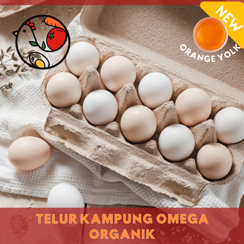 

Telur Ayam Kampung Omega Orange Opera Organic 1 Butir Telor Organik