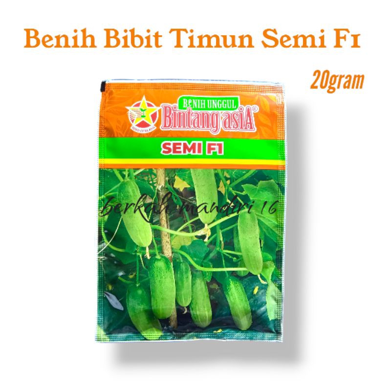 Benih Bibit timun Semi F1 20rgram Bintang Asia