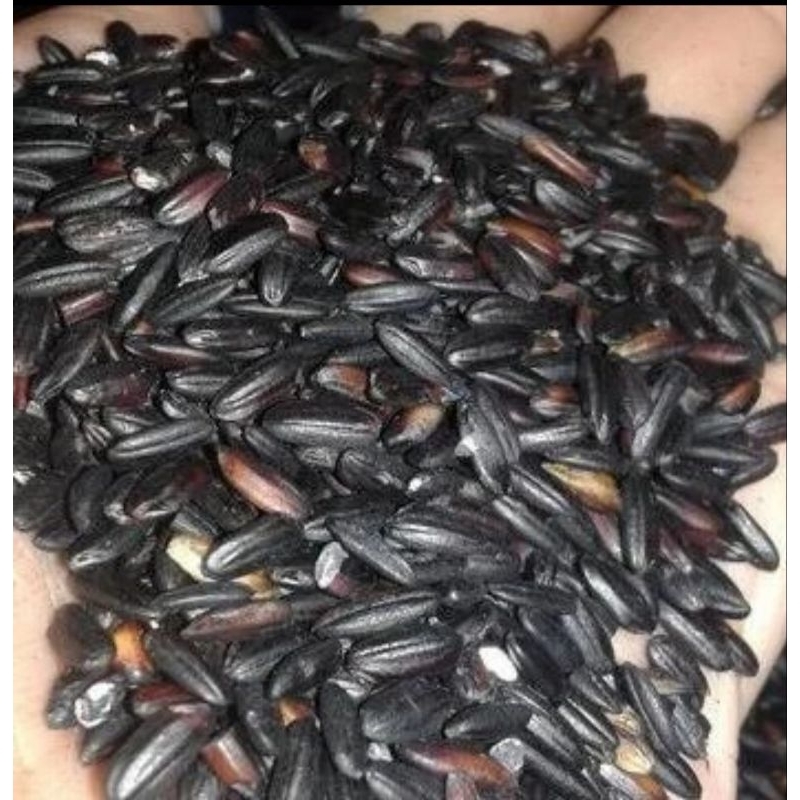 

Ketan / Pulut Hitam