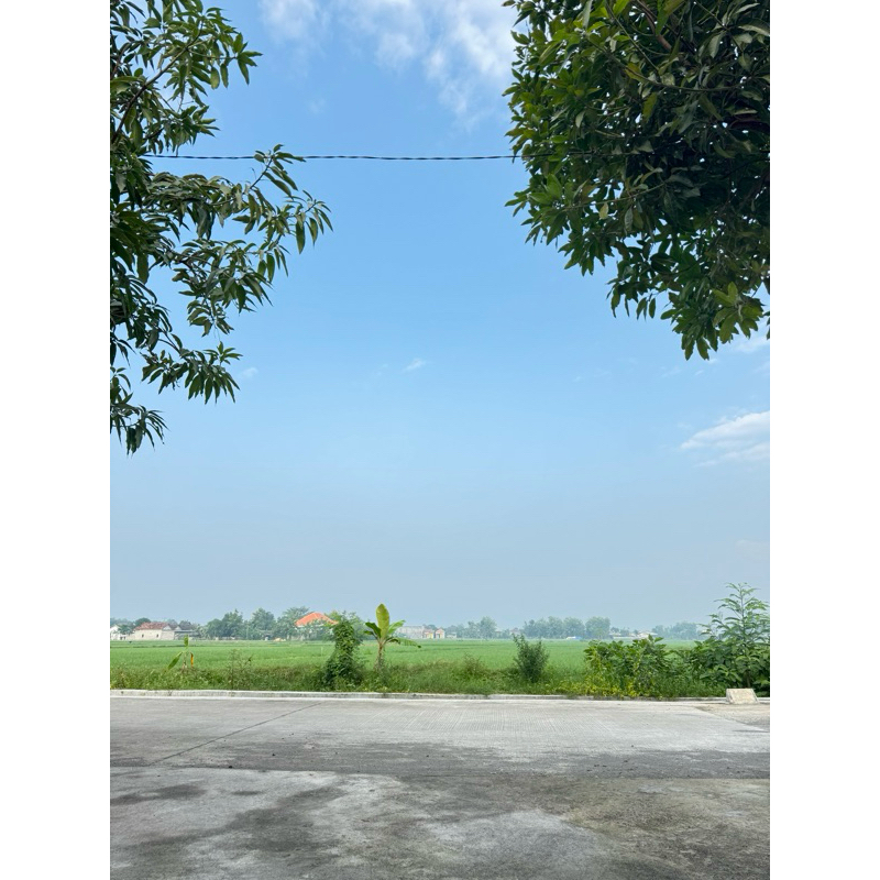 

apa aja