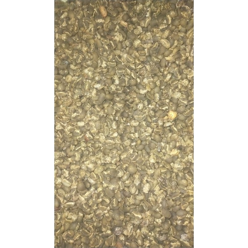 

green bean coffee gayo arabica semi wash grade 2