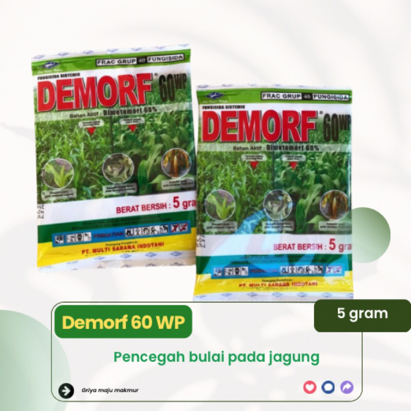 DEMORF 60WP 5gr fungisida sistemik pencegah bulai Jagung