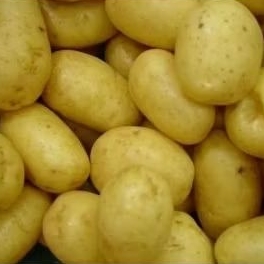 

Kentang Grade B-C tanggung 1kg