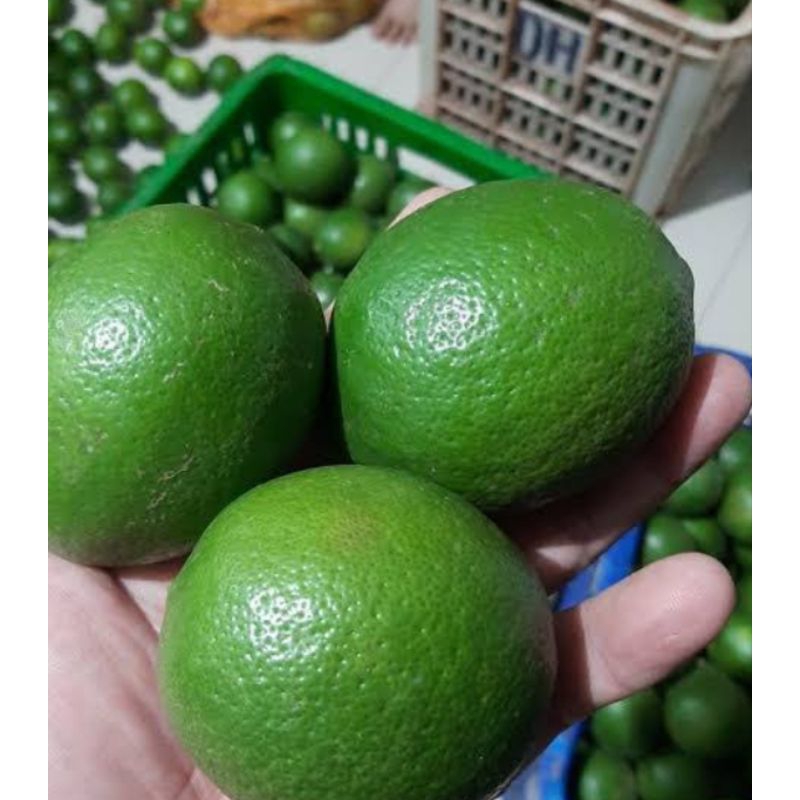 

1 kg lemon California jumbo hijau