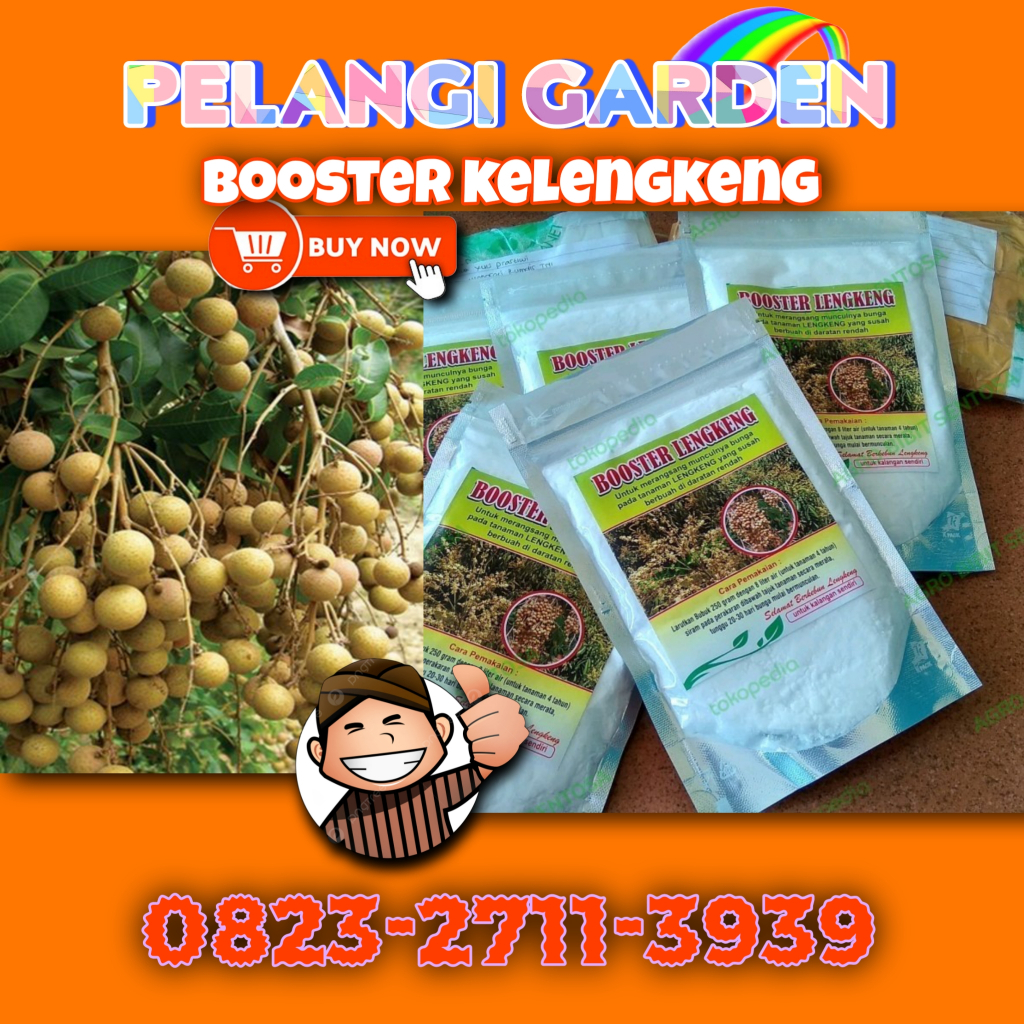 Booster Kelengkeng Murni 1Kg, Booster Kelengkeng Merah, Booster Kelengkeng Matalada Berbuah, Booster