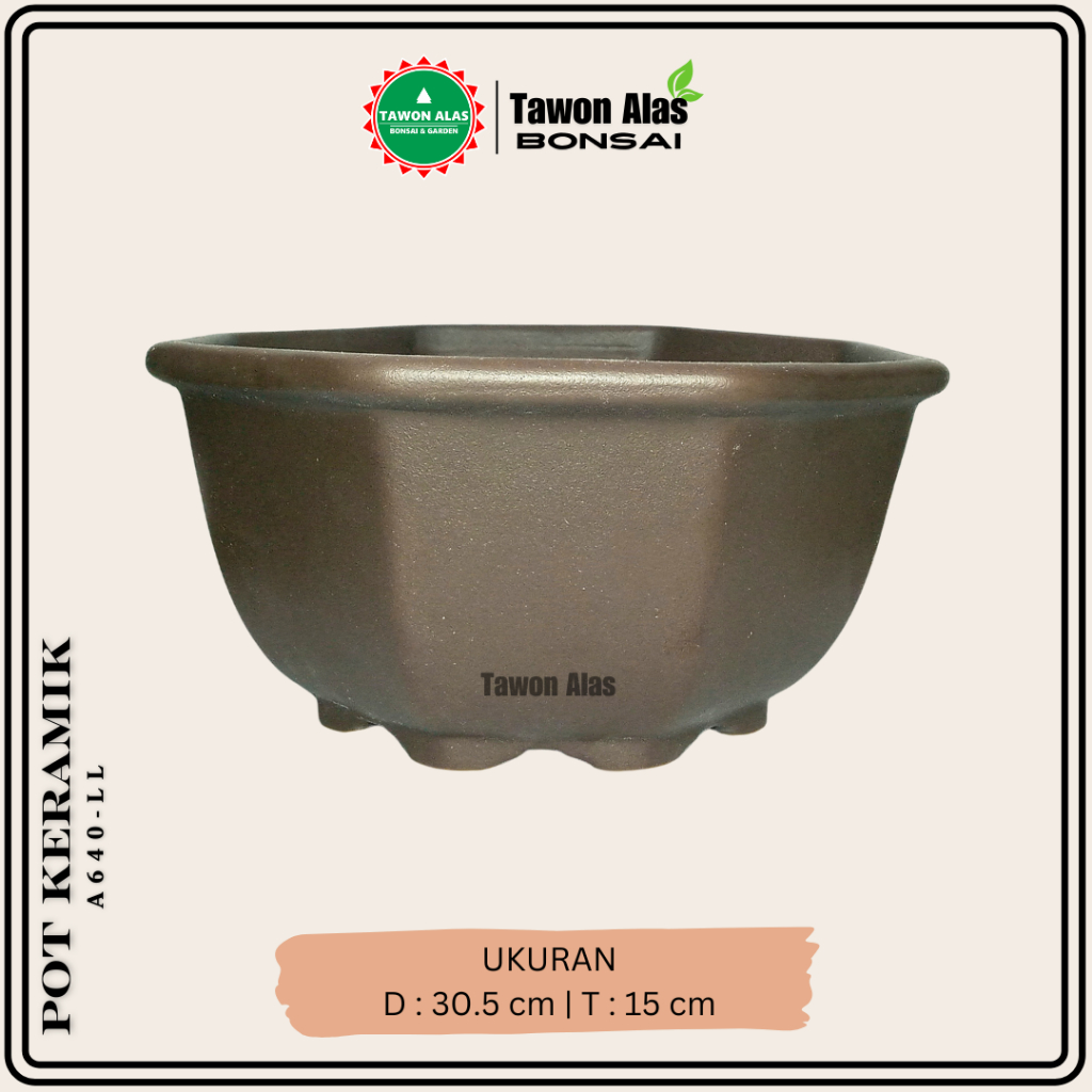 Pot Keramik Segi Delapan 30 cm | Ukuran LL