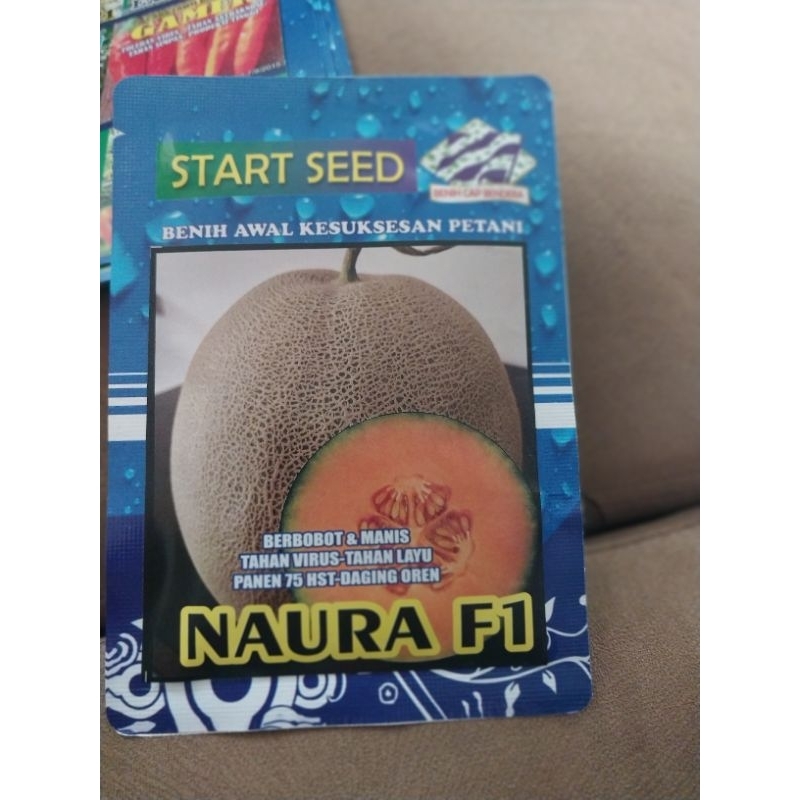 

BENIH MELON NAURA F1 TAHAN VIRUS ROCK ORANGE NAURA F1