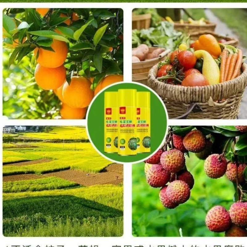 SHp2 Lem Ajaib Lalat Buah Lem Perekat Lalat Buah Lem Lalat Buah Lem Untuk Lalat Buah